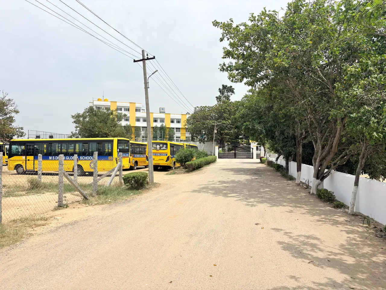 A row of M S Dhoni Global School buses parked beside the tree-lined approach road to the school gate.