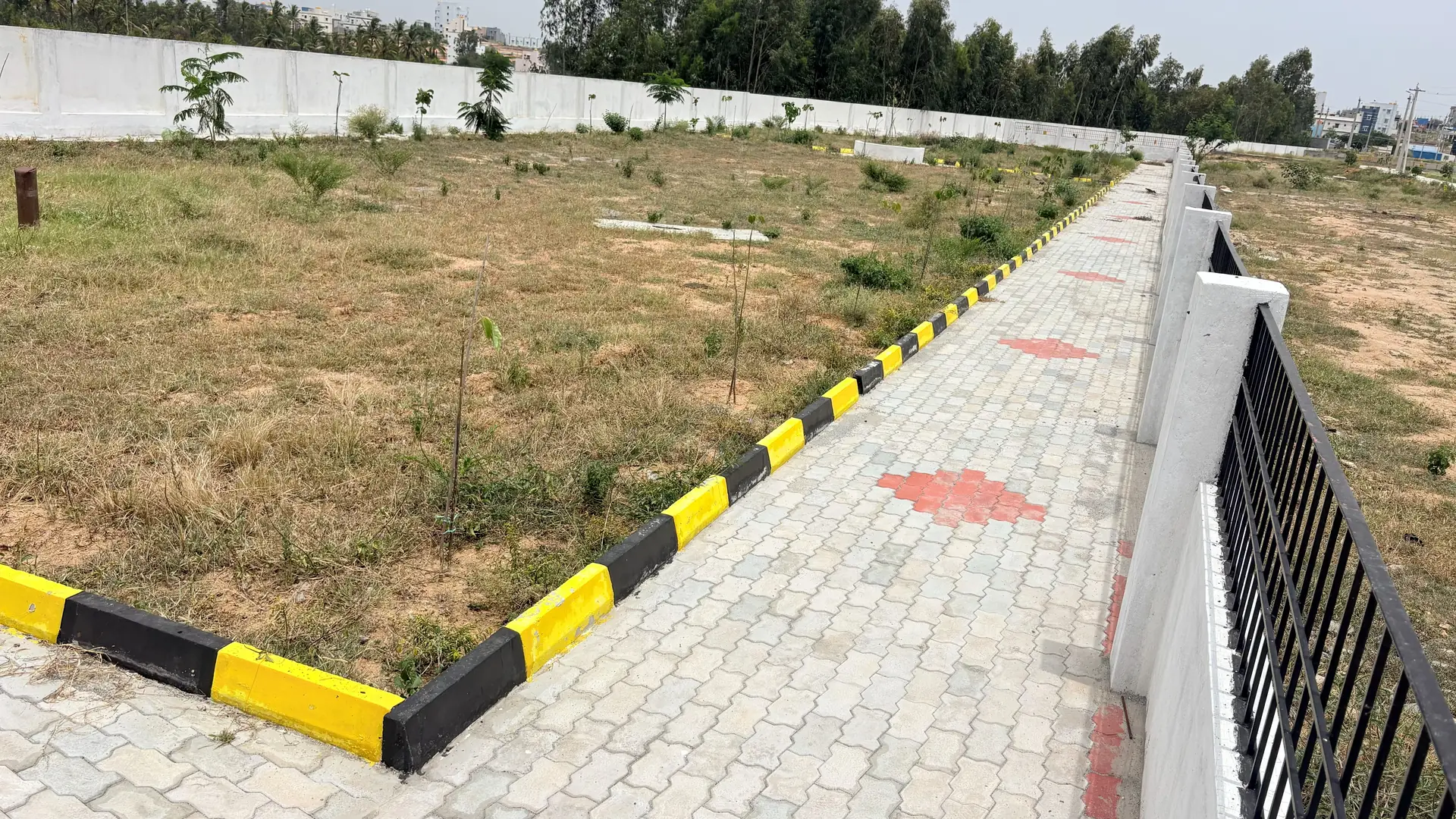 Planted avenue saplings along the kerb of a paver walkway between marked plots.